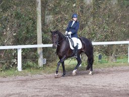IMG_7858_web